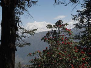 Numbur Peak seen from Goli Gompa